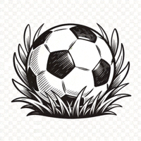 天下足球网官方标志 - 一个充满活力的足球图标与网站名称